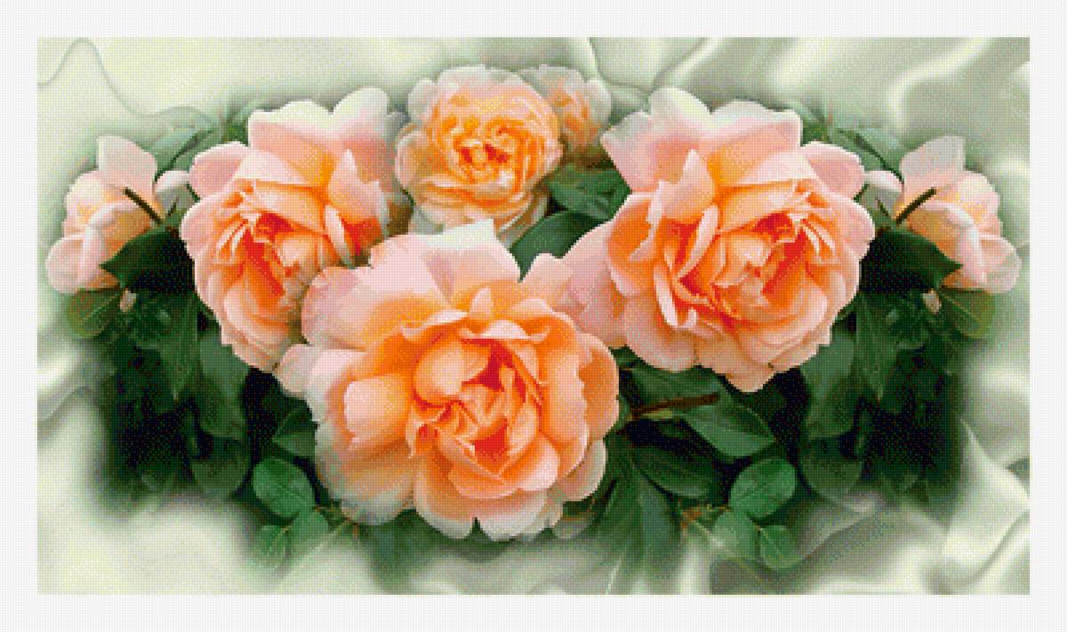 Персиковые розы. - цветы, букет, живопись, розы - предпросмотр
