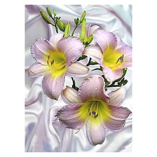 Схема вышивки «Лилии.»