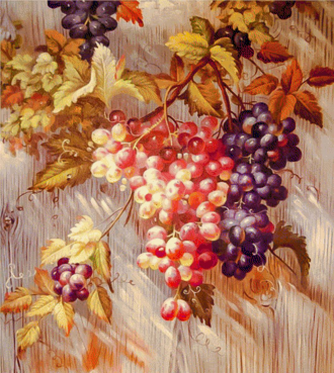 Grapes. - tina augusto bruno art.still life. - предпросмотр
