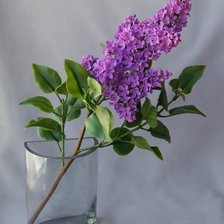 Схема вышивки «цветы»