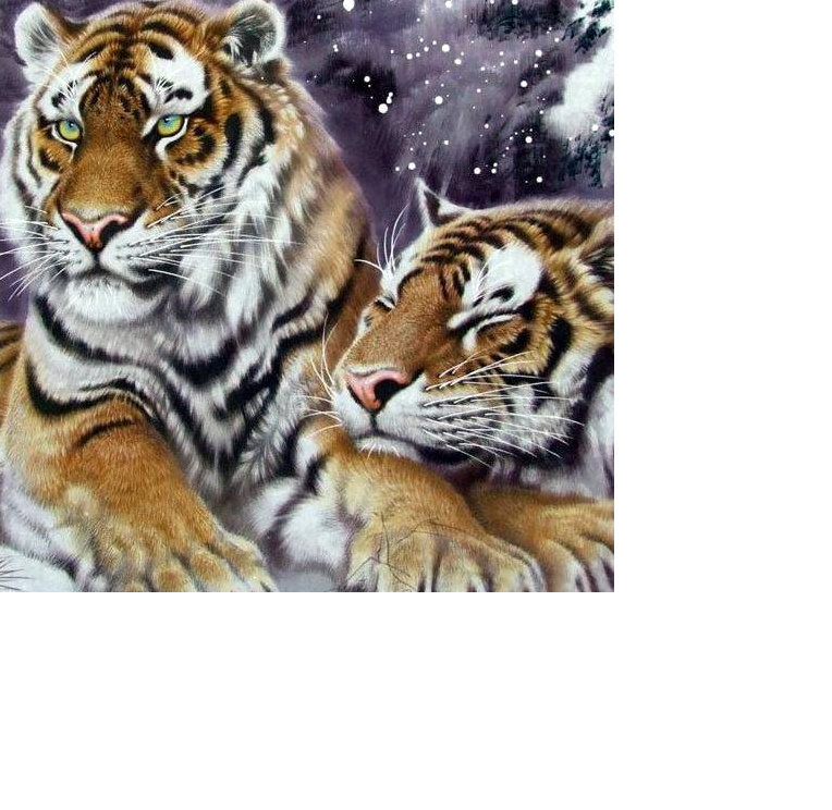 тигры - тигры, кошки, животные, рисунок - оригинал