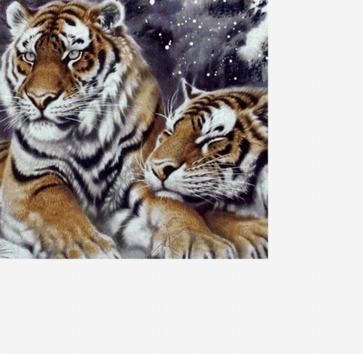 тигры - кошки, тигры, рисунок, животные - предпросмотр