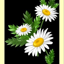 Схема вышивки «№2034008»