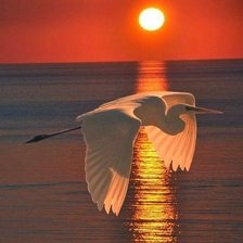 Схема вышивки «На закате»