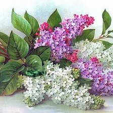 Схема вышивки «цветы»