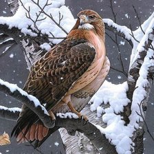 Схема вышивки «птицы»