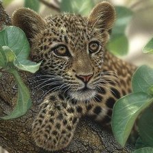 Схема вышивки «дикие»