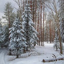 Схема вышивки «№2034335»