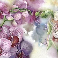 Схема вышивки «№2034349»