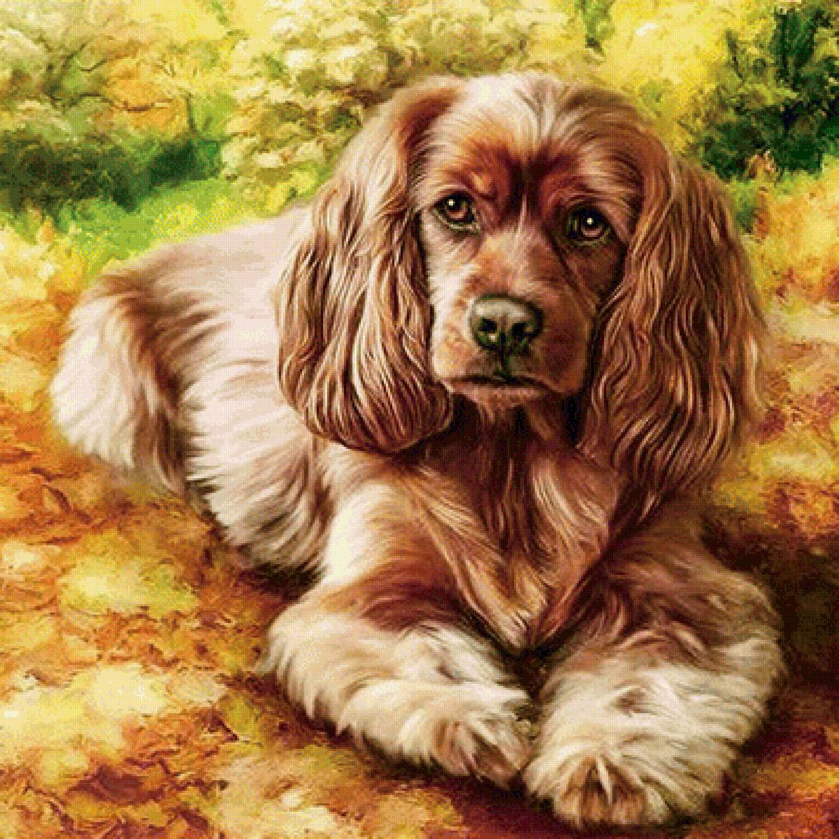 №2034593 - предпросмотр