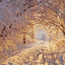 Схема вышивки «зима»