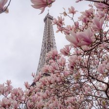 Схема вышивки «пейзаж»