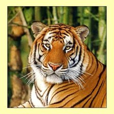 Схема вышивки «№2034803»