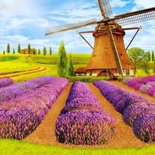 Схема вышивки «№2035046»