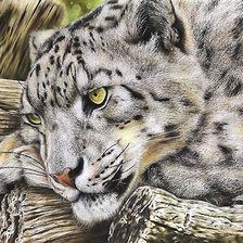 Схема вышивки «№2035096»