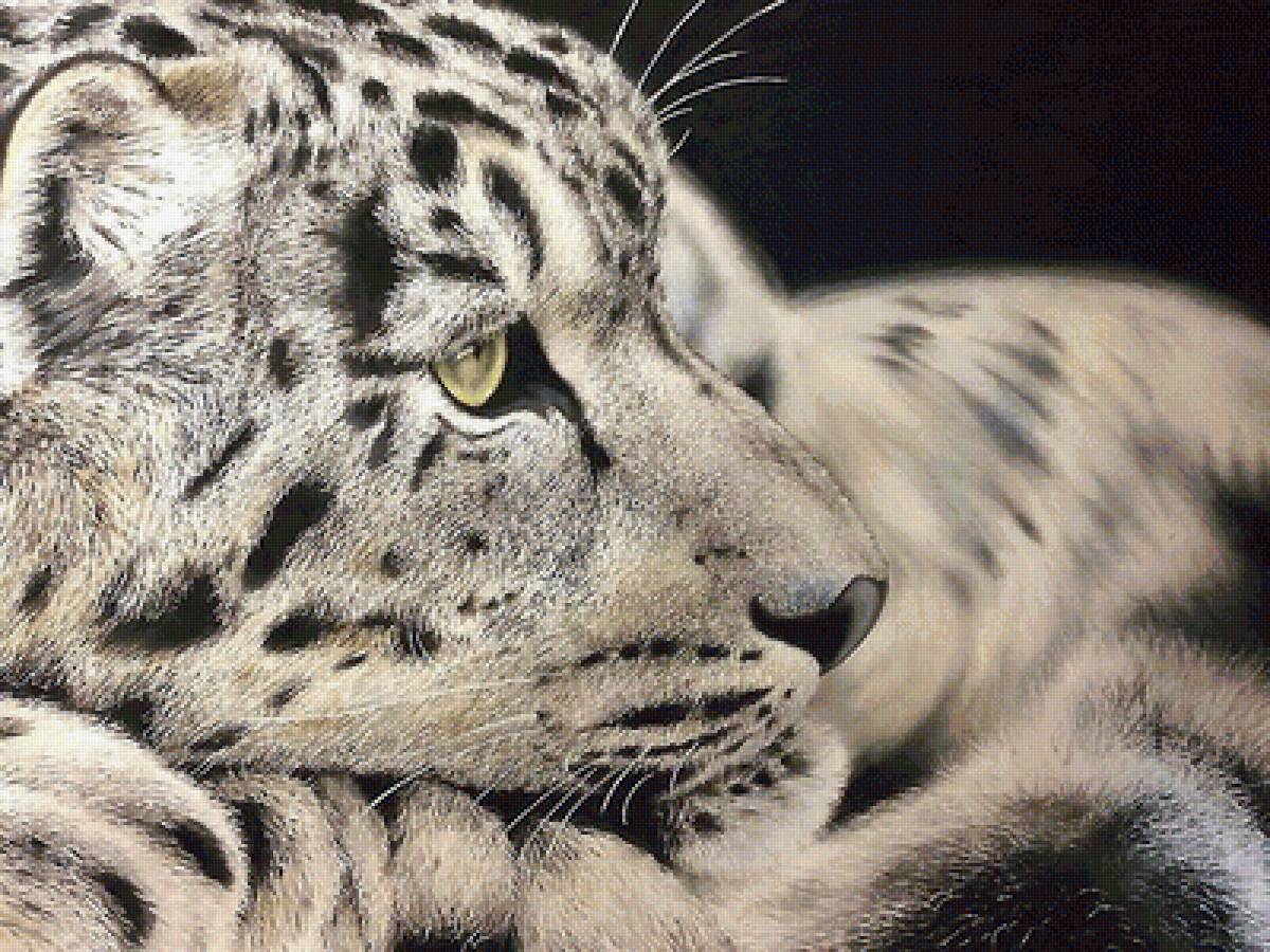 №2035098 - предпросмотр