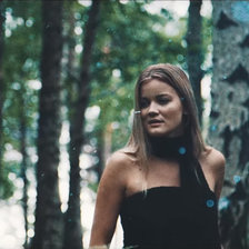 Схема вышивки «сандра линг»