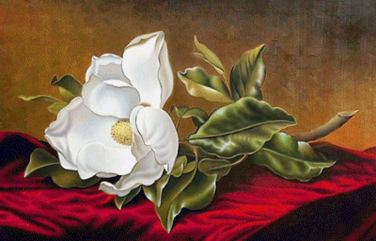 Магнолия. - натюрморт, цветы, живопись. - предпросмотр