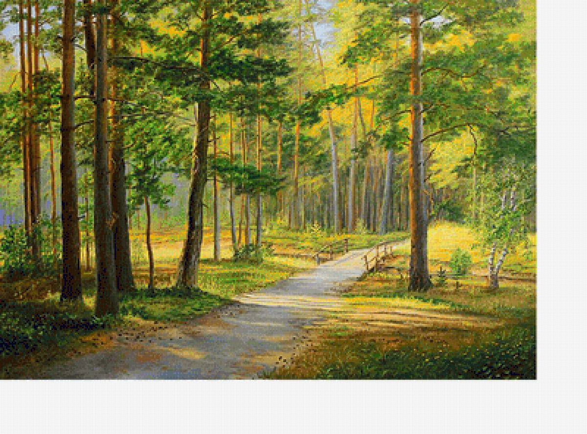 Пейзаж - лес, дорожка, парк, сосны - предпросмотр