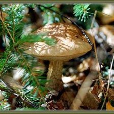 Схема вышивки «Все равно тебя найду»