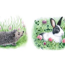 Схема вышивки «№2035608»