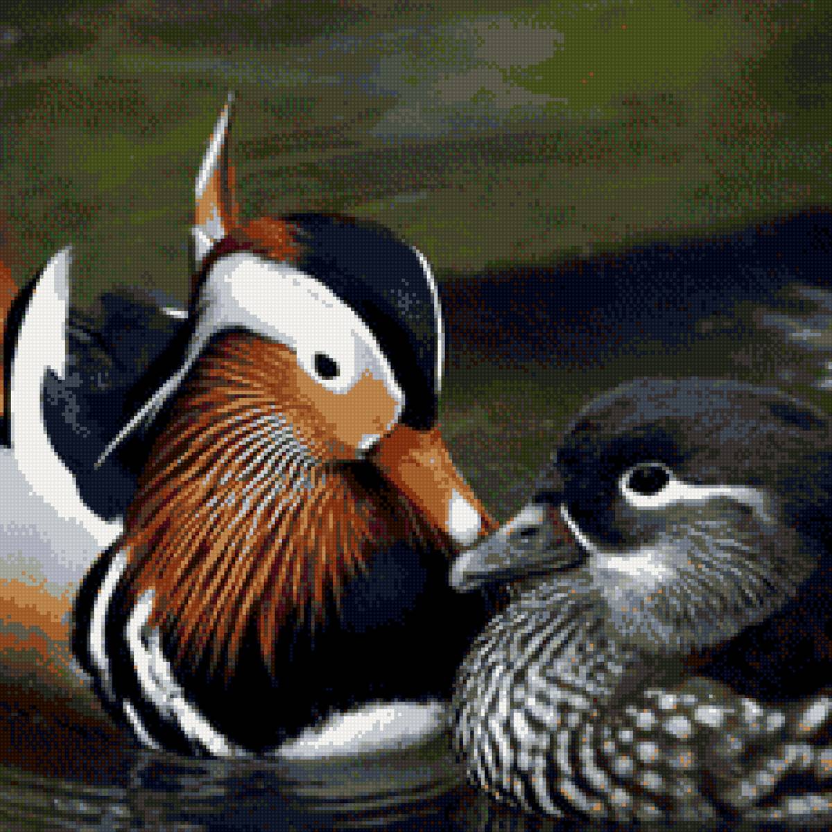 Утки Мандаринки - предпросмотр