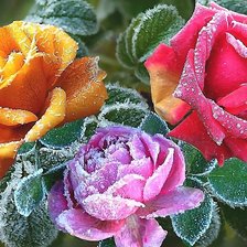 Схема вышивки «№2035941»