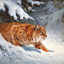 Схема вышивки «Рысь»