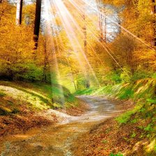 Схема вышивки «№2036076»