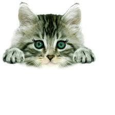 Схема вышивки «№2036228»