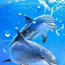 Схема вышивки «Дельфины»