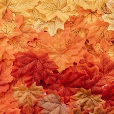 Схема вышивки «№2036382»