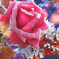 Схема вышивки «№2036479»