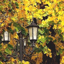 Схема вышивки «№2036485»