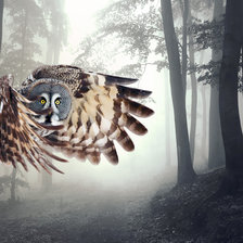 Схема вышивки «сова»