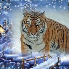Схема вышивки «Тигр»