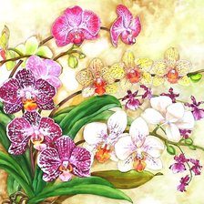 Схема вышивки «акварель»