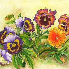 Схема вышивки «анютины глазки»