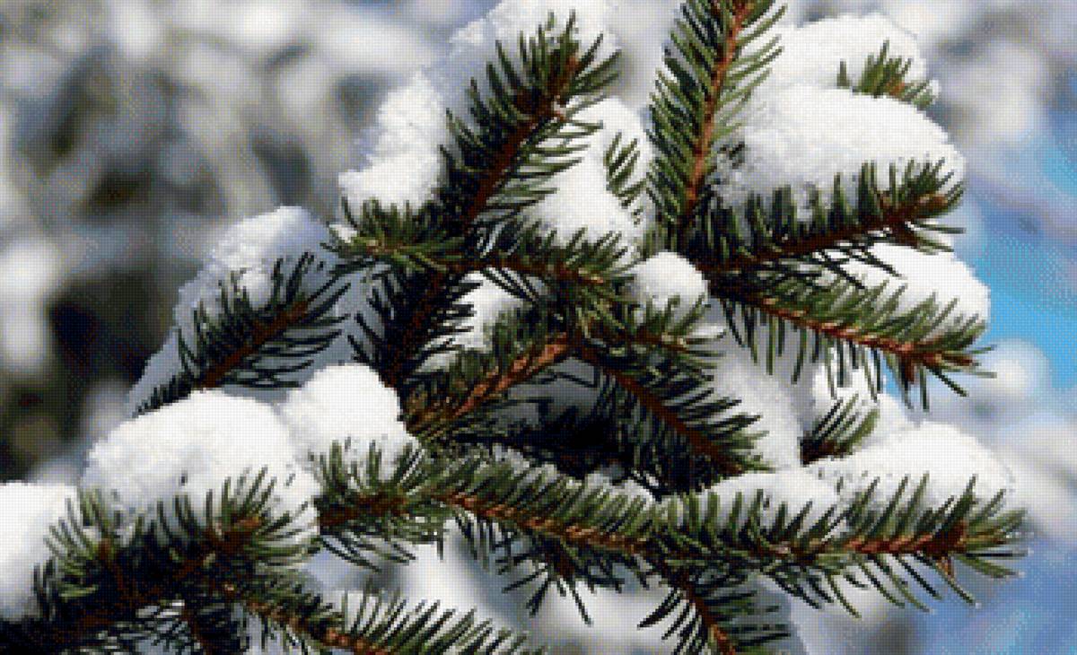 Зимний привет - природа - предпросмотр