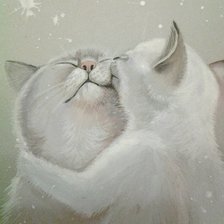 Схема вышивки «Нежность»