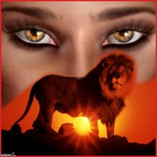 Схема вышивки «Глаза львицы»