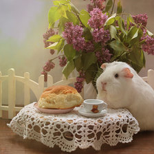 Схема вышивки «цветы»