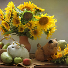 Схема вышивки «подсолнух»