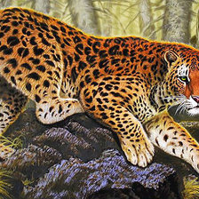 Схема вышивки «Тигр»