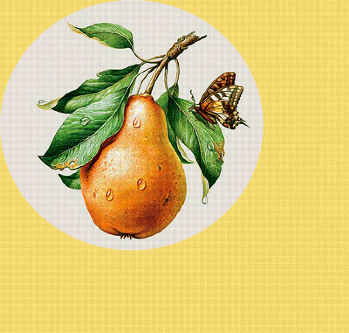 Серия "Фруктово-ягодная". Груша - ягоды, фрукты, груши - предпросмотр