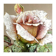 Схема вышивки «Серия "Розы".»