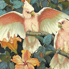 Схема вышивки «папугаи какаду»