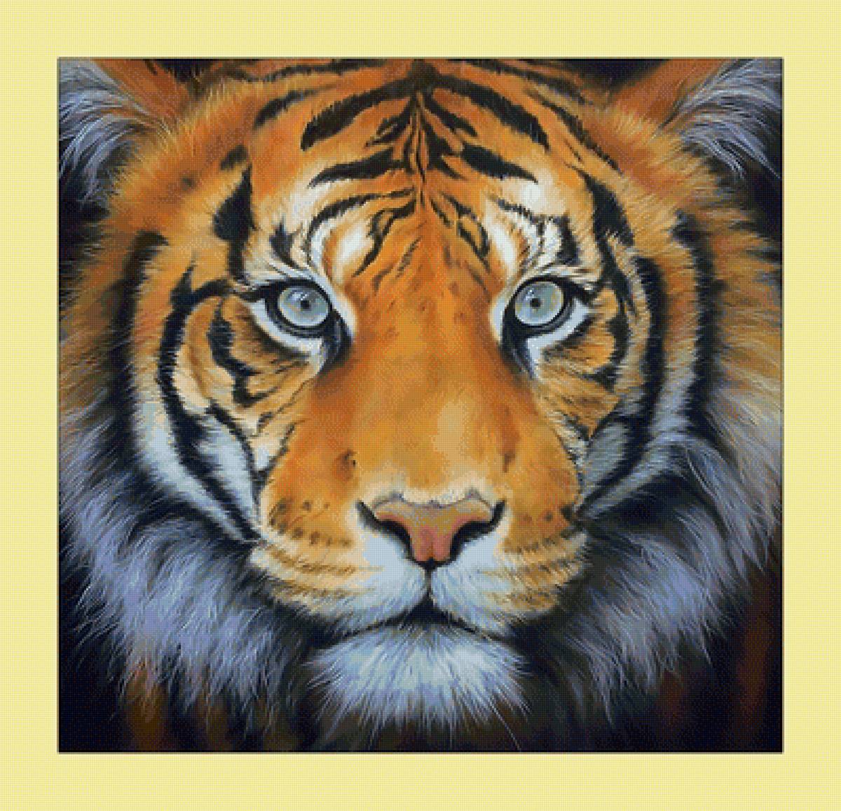 Взгляд тигра. - взгляд, живопись, тигр, животные, хищник - предпросмотр