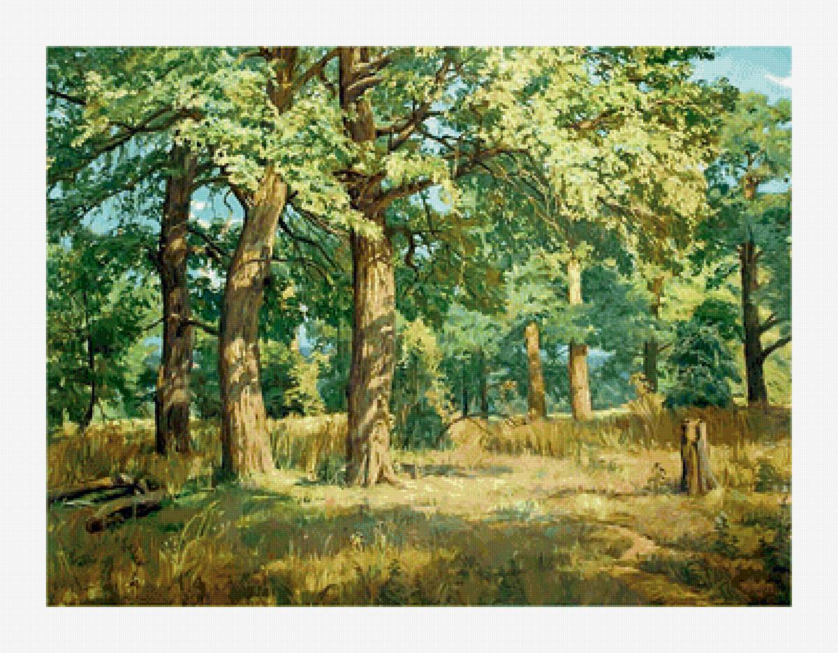 Дубовая роща. - дубы, роща, природа, деревья, живопись - предпросмотр