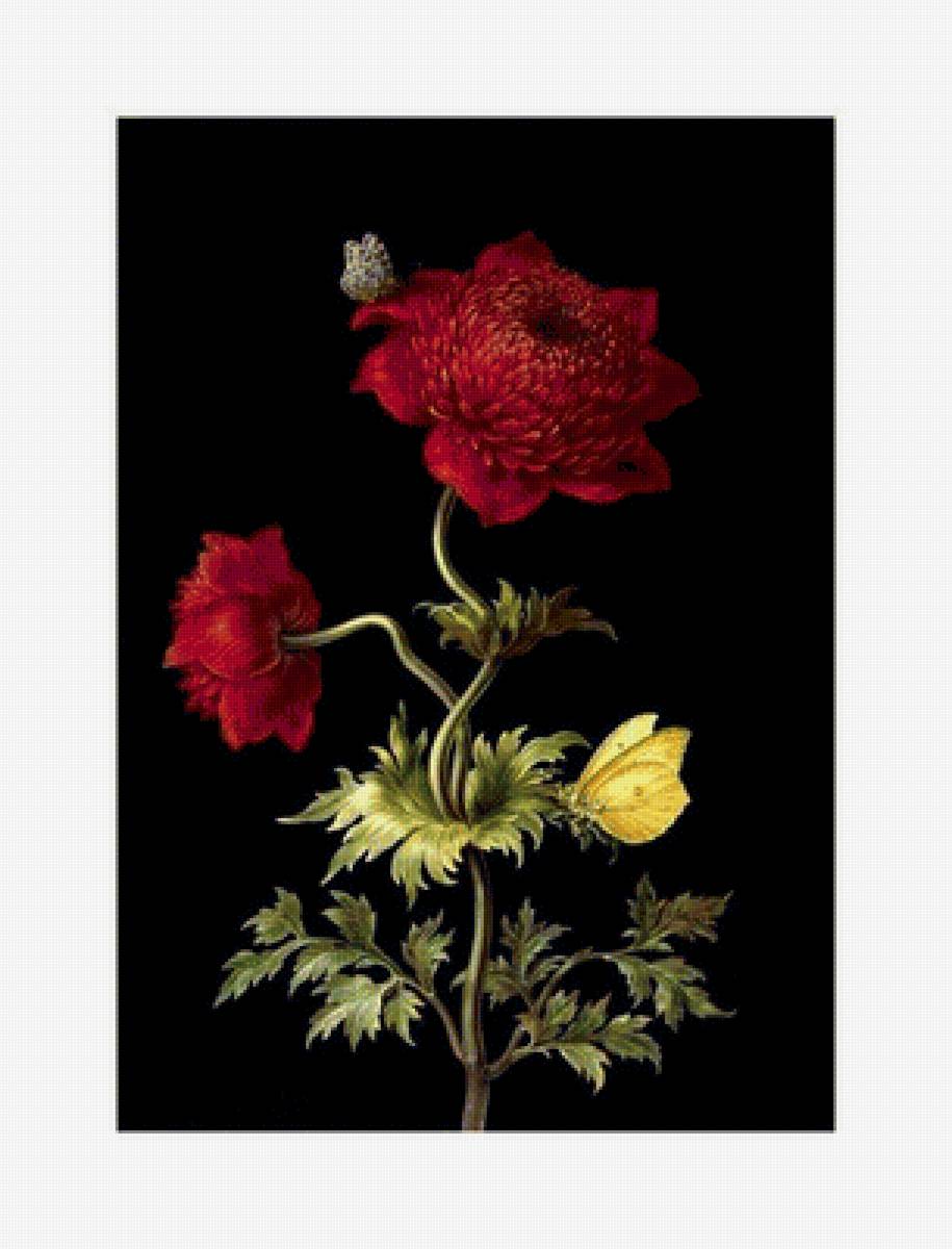 цветы - предпросмотр